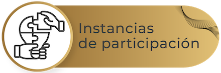 Instancias de Participación