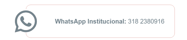 WhatsApp Institucional