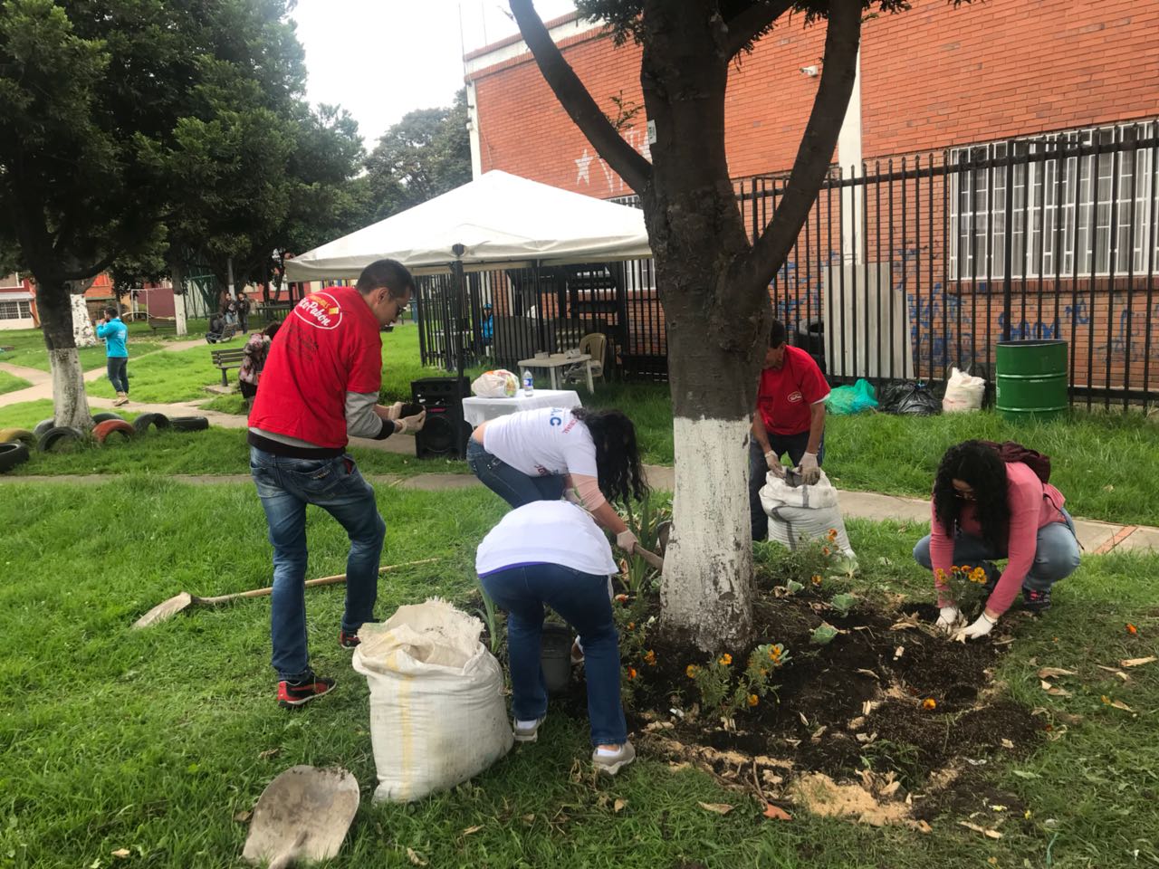 Desechos orgánicos de parque en Usaquén son convertidos en abono en Bosa  