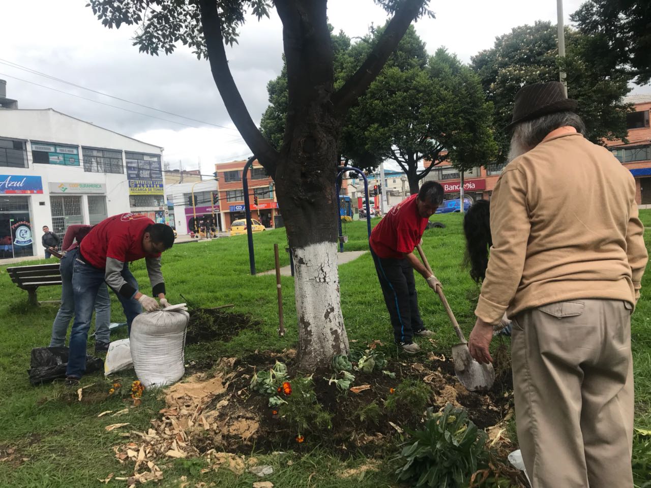 Desechos orgánicos de parque en Usaquén son convertidos en abono en Bosa  