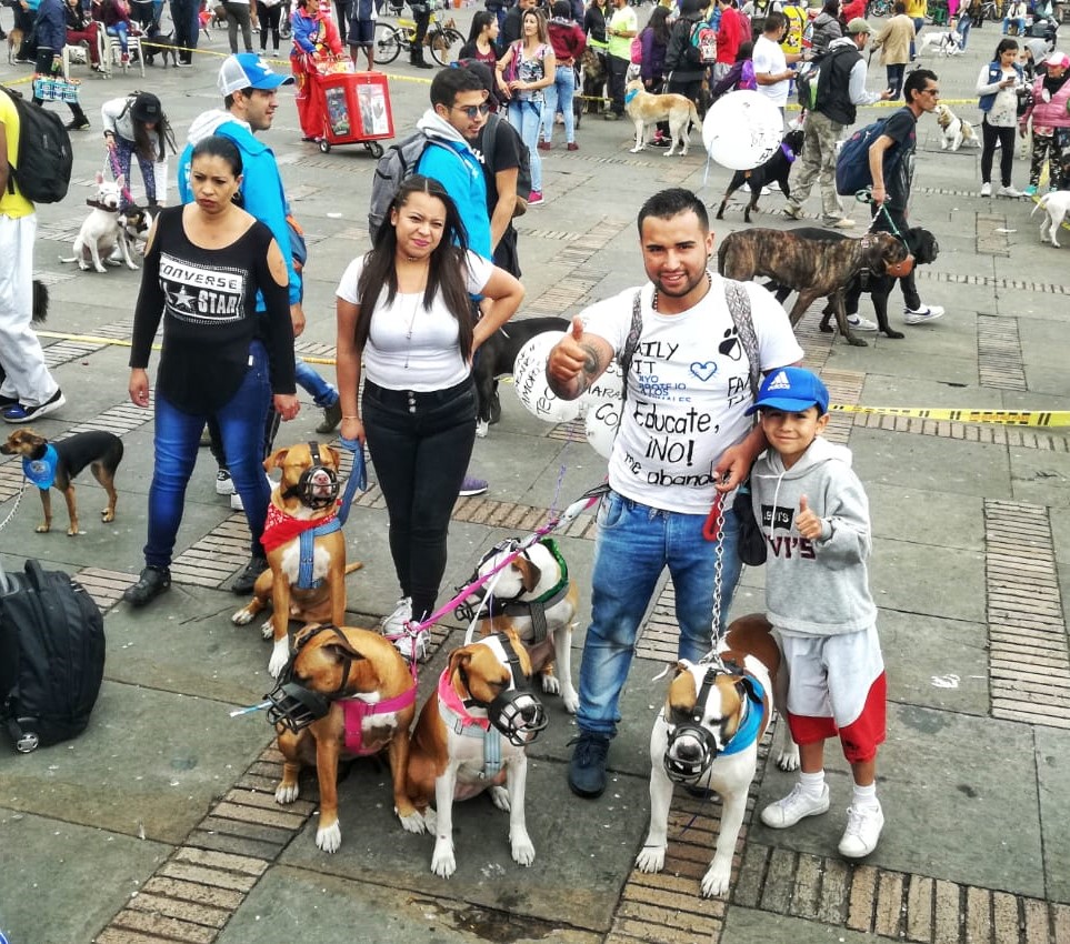 “Edúcate y Edúcame”: fue el eslogan en la Sexta Caminata por los Derechos de los Perros de Razas Fuertes