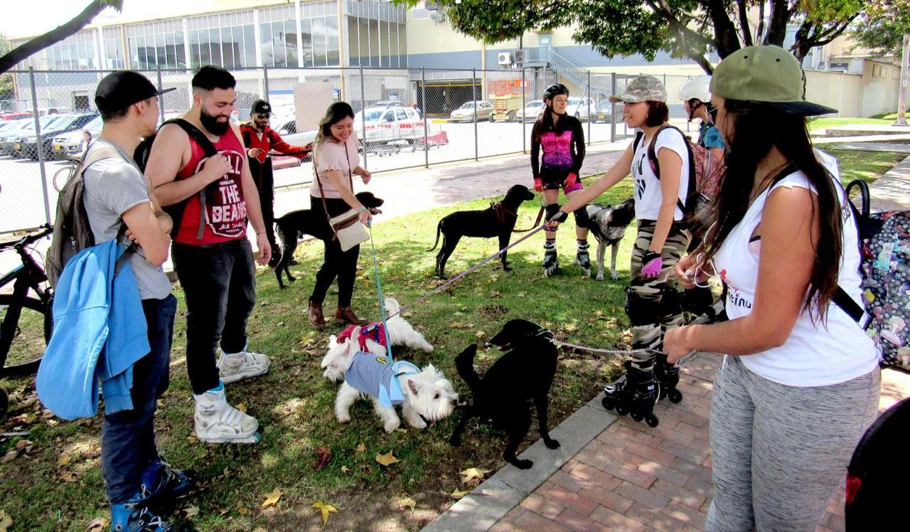 Primeros resultados de alianzas entre Organizaciones de la Red Bogotá Líder 