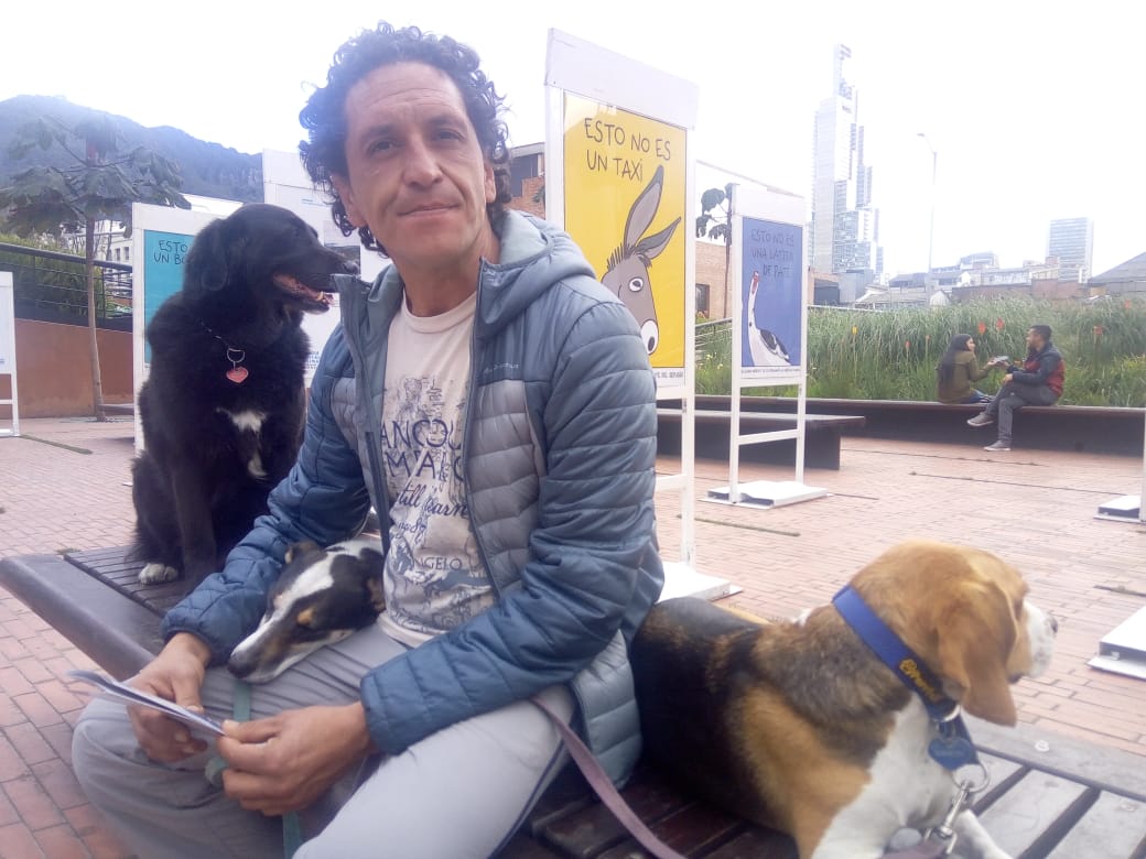 http://www.participacionbogota.gov.co/capital-animal-2018