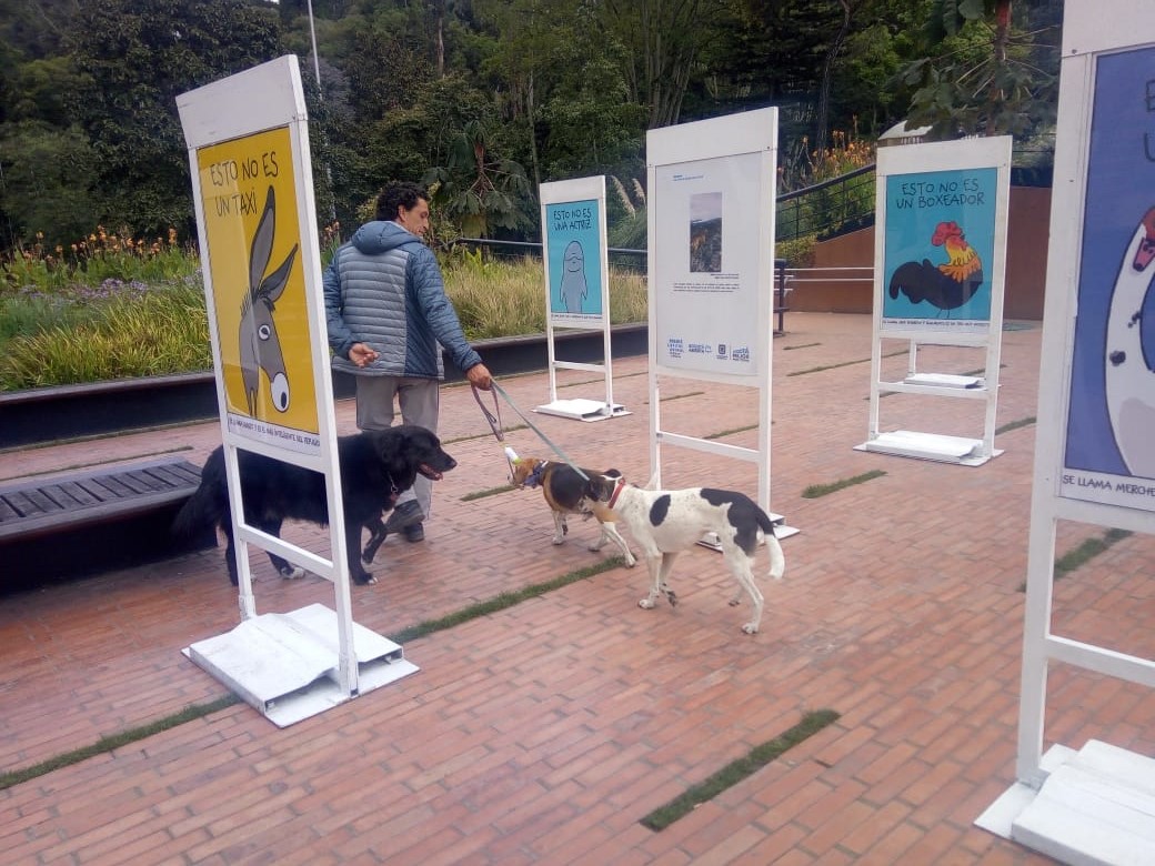 http://www.participacionbogota.gov.co/capital-animal-2018