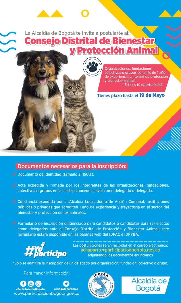 Participe en la convocatoria al proceso de elección del 'Consejo Distrital de Bienestar Protección Animal'