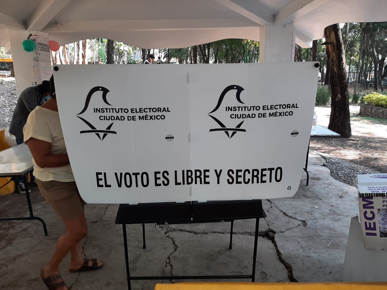 Voto libre