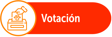 votación