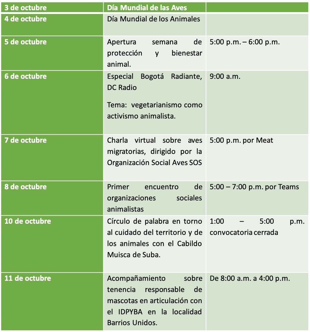 Cronograma de Actividades