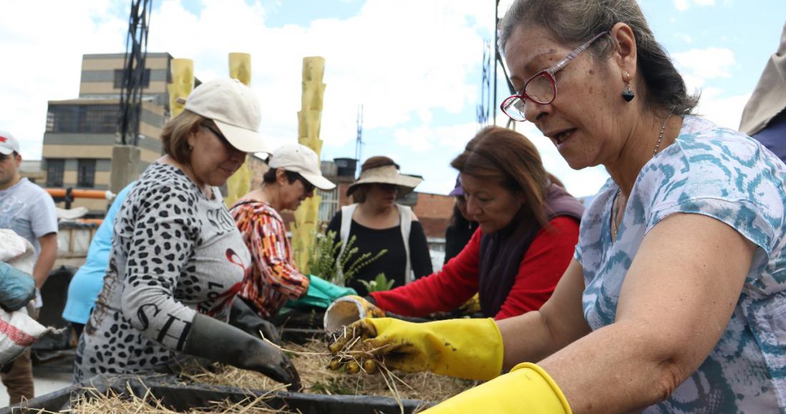 Jóvenes de Bogotá Líder nos enseñan agricultura urbana