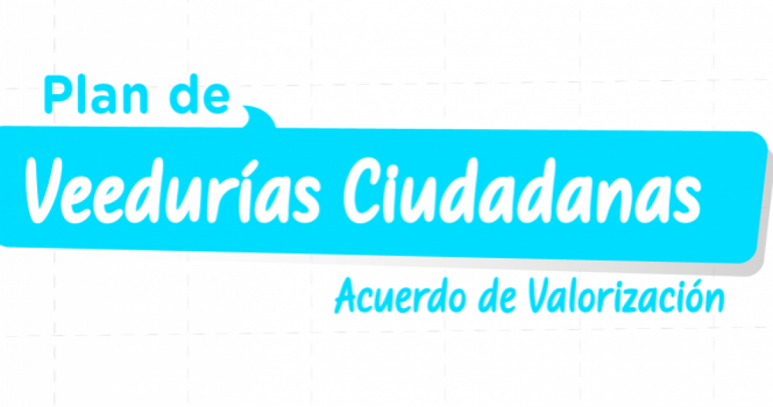 Plan de Veedurías Ciudadanas