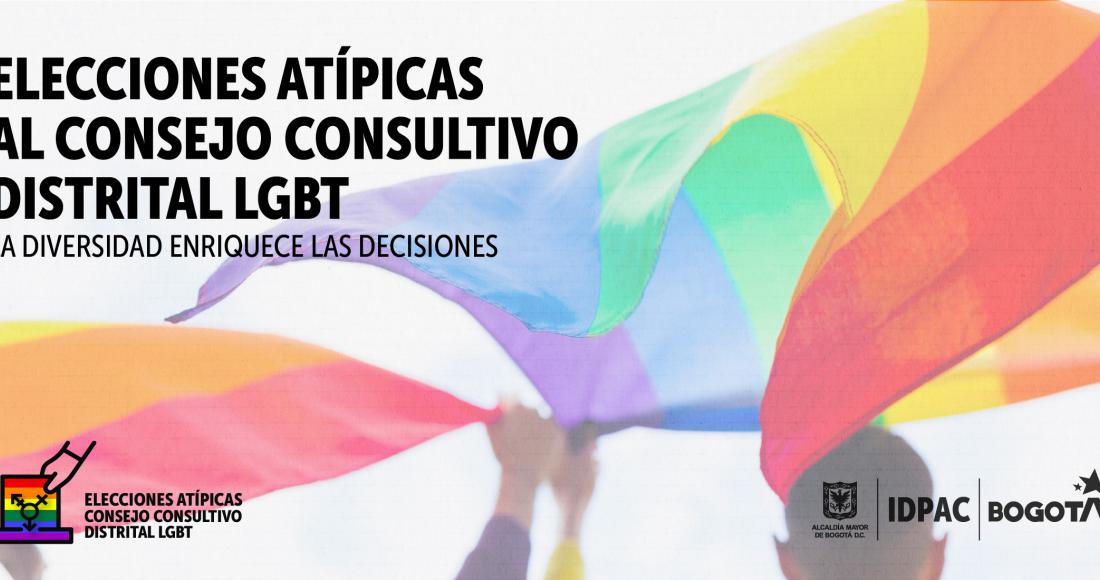 Elecciones atípicas al Consejo Consultivo Distrital LGBT