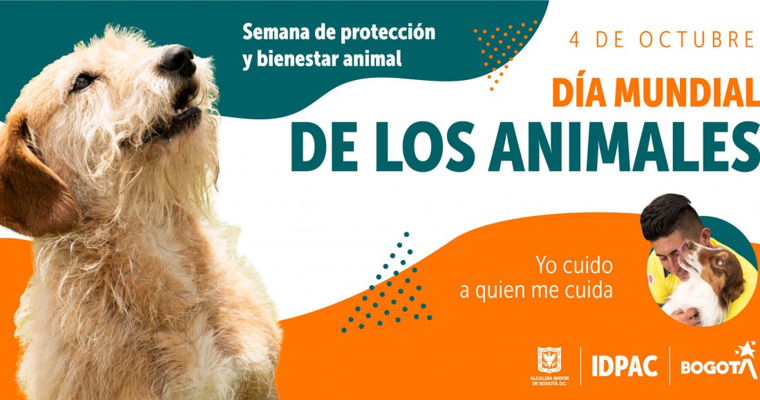  “Yo cuido a quien me cuida”: 4 de octubre, Día Mundial de los Animales 
