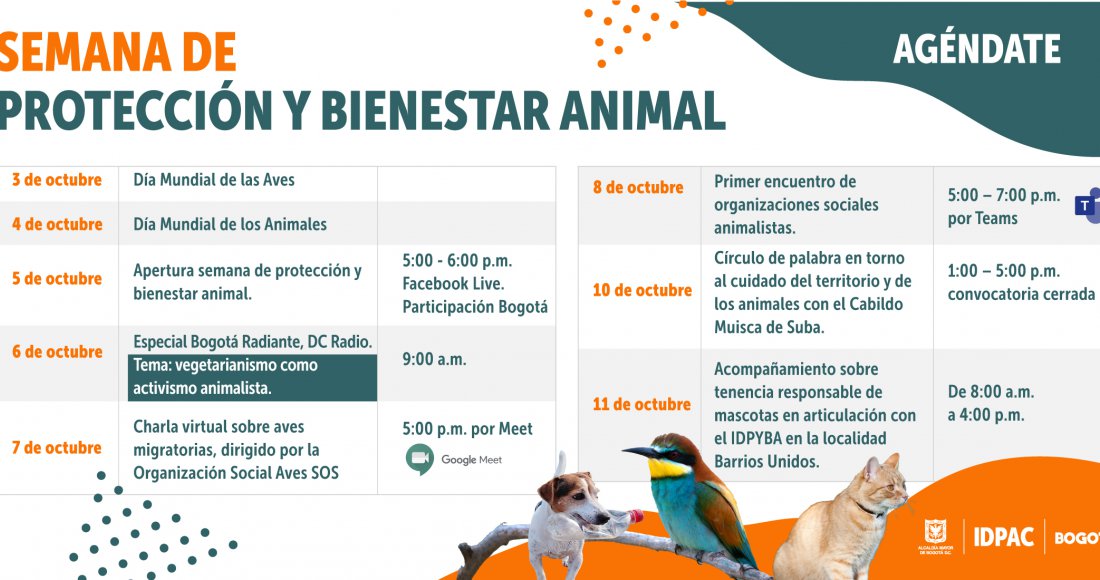 Cronograma de la Semana de Protección Y Bienestar Animal