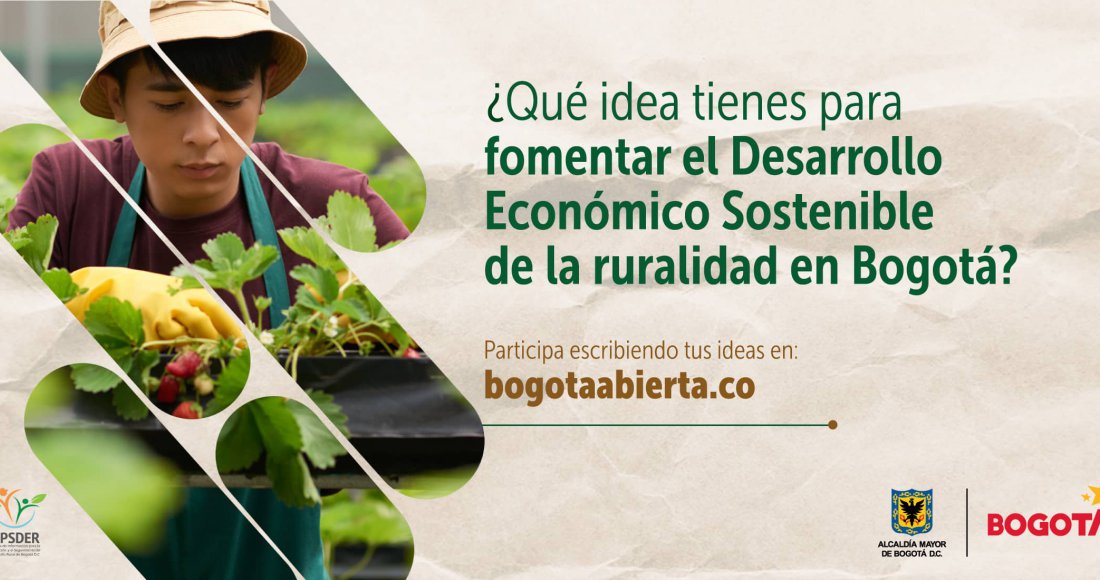 ¿Qué ideas tienes para fomentar el Desarrollo Económico Sostenible de la Ruralidad en Bogotá?