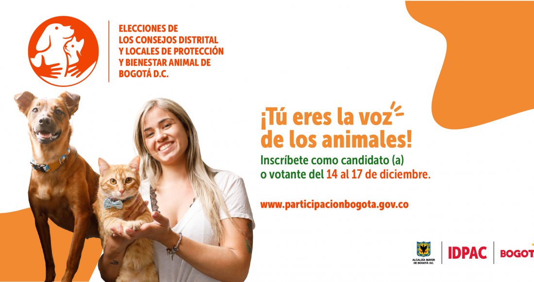 Elecciones de los Consejos Distrital y Locales de Protección y Bienestar Animal de Bogotá D.C.