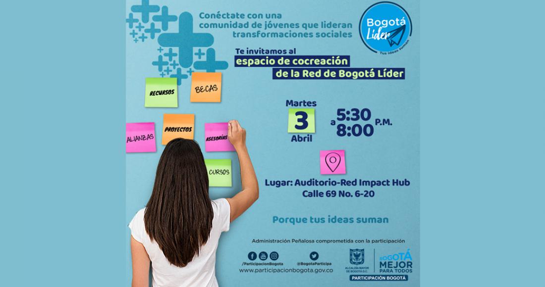 ¿Eres parte de una organización que participó en Bogotá Líder 2016 o 2017?