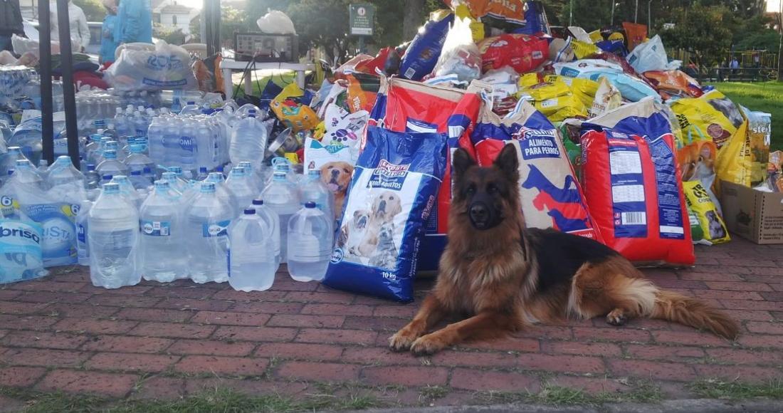 El Distrito Recogió 5 toneladas de alimentos para animales damnificados en Mocoa