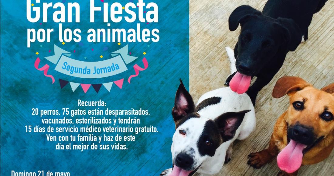 “Gran Fiesta por los Animales”