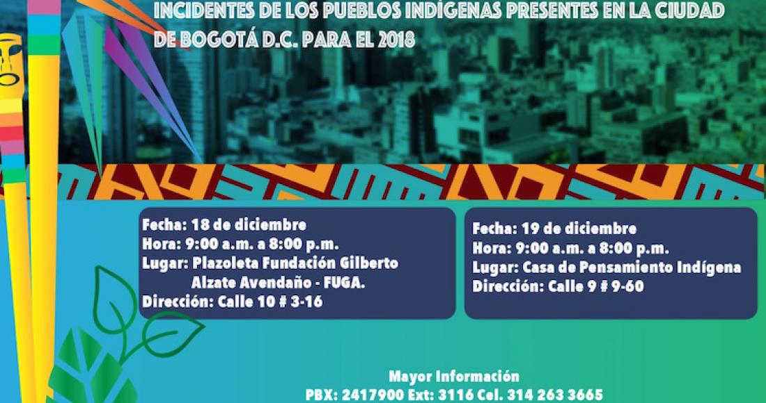 ‘Encuentro de construcción y fortalecimiento de propuestas incidentes de los pueblos indígenas presentes en Bogotá para el 2018’