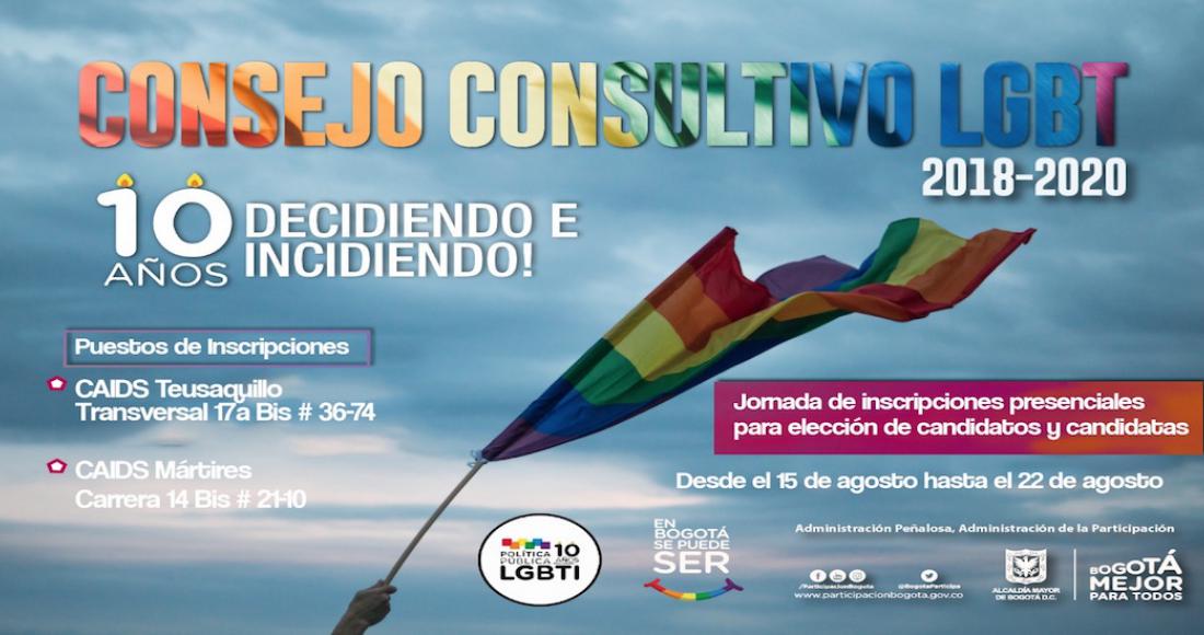 Boletín informativo Nro. 8: Elección Consejo Consultivo LGBT 2018-2020