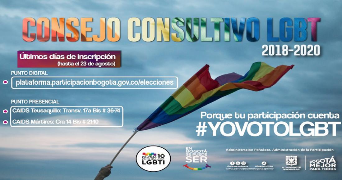 Boletín informativo Nro. 9 Elección Consejo Consultivo LGBT 2018-2020