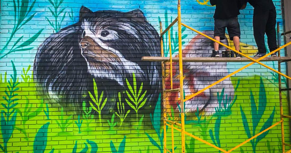 Con un mural, participación Bogotá le rinde homenaje al Oso Andino y a la Tingua