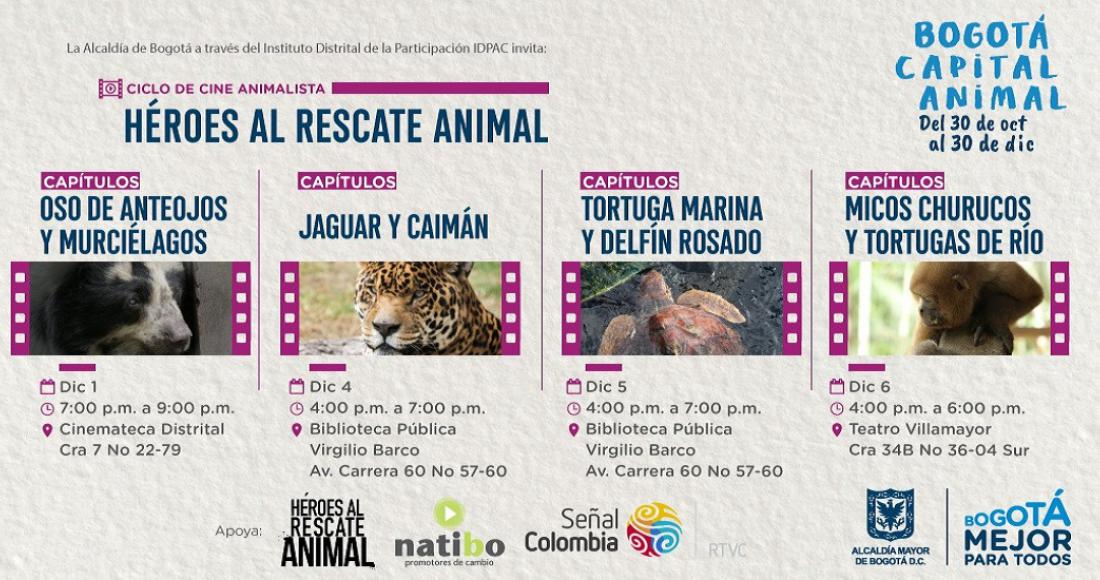 Asista gratis al ciclo de cine animalista “Héroes al Rescate”, para concientizar sobre el respeto hacia la fauna