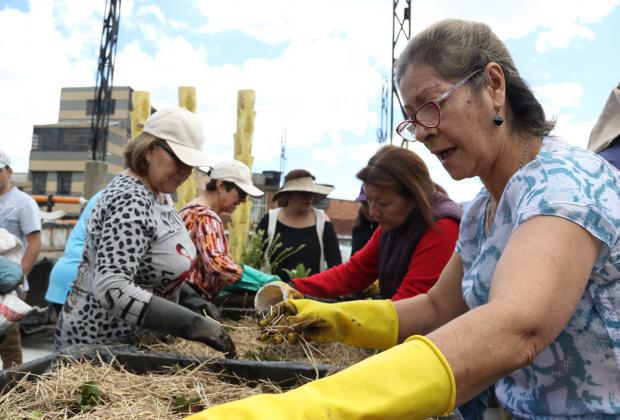 Jóvenes de Bogotá Líder nos enseñan agricultura urbana