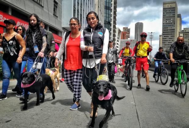 ‘Las huellas que guían’: la caminata por los derechos de los Perros Lazarillos 