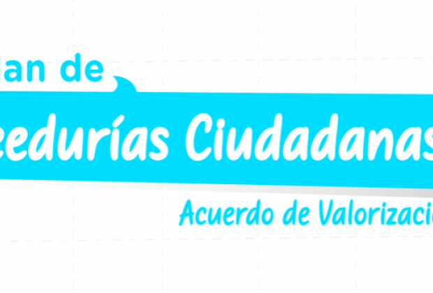 Plan de Veedurías Ciudadanas