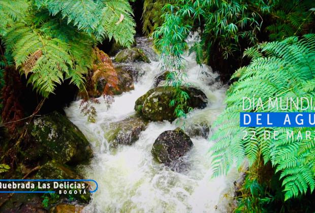 Conmemora y conéctate con el Día Mundial del Agua