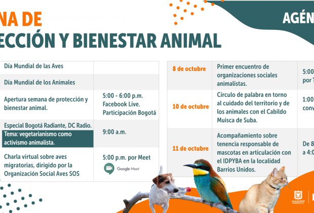 Cronograma de la Semana de Protección Y Bienestar Animal