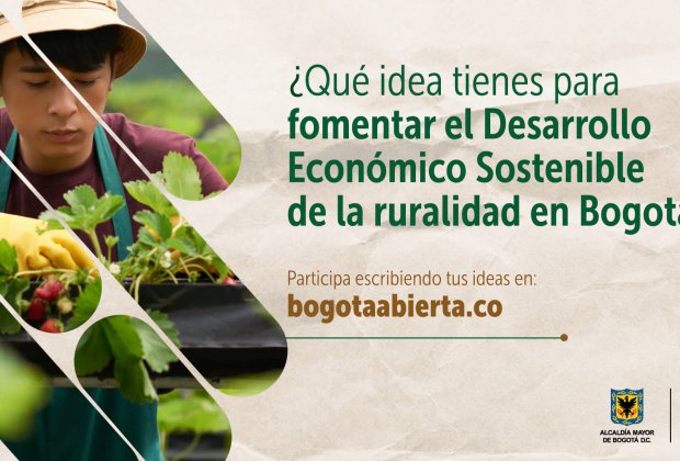 ¿Qué ideas tienes para fomentar el Desarrollo Económico Sostenible de la Ruralidad en Bogotá?