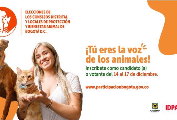 Elecciones de los Consejos Distrital y Locales de Protección y Bienestar Animal de Bogotá D.C.