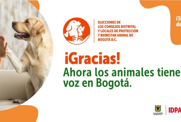 Los animales ya tienen voz en los Consejos Distrital y Locales de Protección y Bienestar Animal