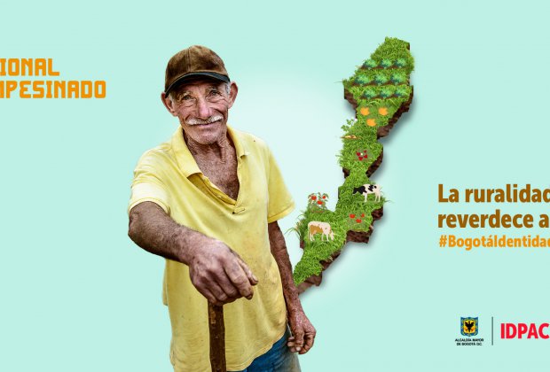 Agricultura familiar en la ruralidad de Bogotá, un camino hacia la participación 