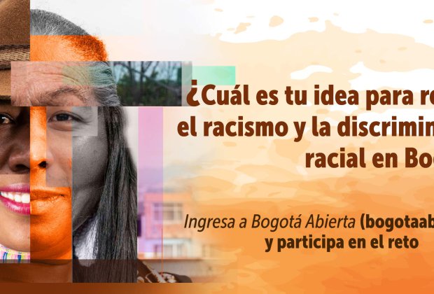 ¿CUÁL ES TU IDEA PARA REDUCIR EL RACISMO Y LA DISCRIMINACIÓN RACIAL EN BOGOTÁ?