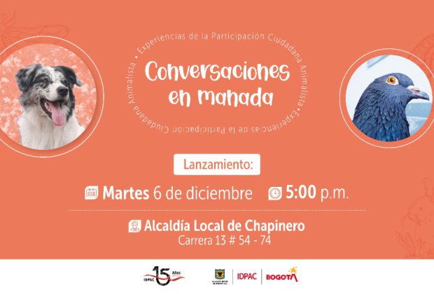 LANZAMIENTO ‘CONVERSACIONES EN MANADA’: EXPERIENCIAS DE LA PARTICIPACIÓN CIUDADANA