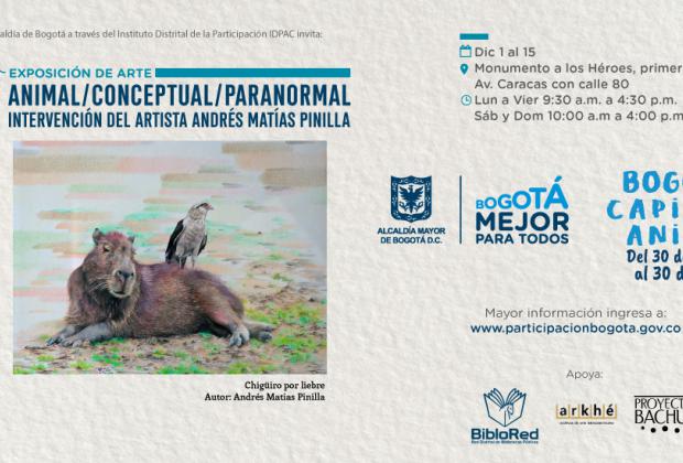 Capital Animal 2018