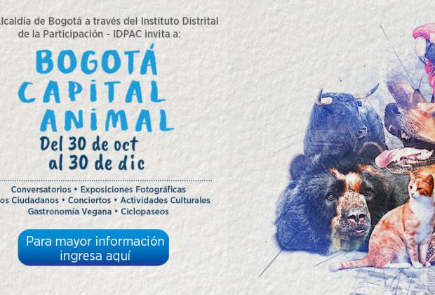 Bogotá Capital Animal