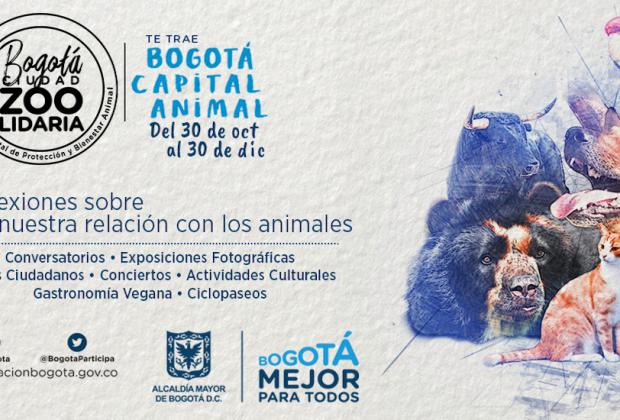 Bogotá escenario de la plataforma ‘Capital Animal’