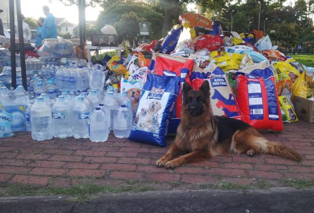 El Distrito Recogió 5 toneladas de alimentos para animales damnificados en Mocoa