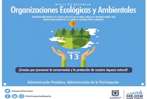 Día Internacional de las Organizaciones Ecológicas y Ambientales