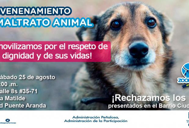 IDPAC denuncia y rechaza aberrantes actos contra animales en el barrio Ciudad Montes