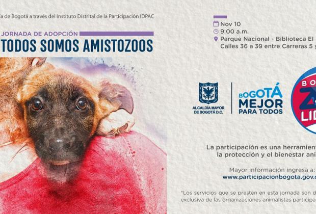 Bogotá Capital Animal: todos a adoptar por una ‘Bogotá ZOOlidaria’ 