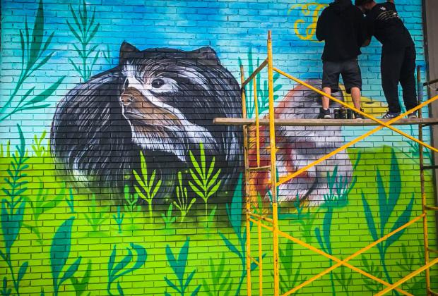 Con un mural, participación Bogotá le rinde homenaje al Oso Andino y a la Tingua