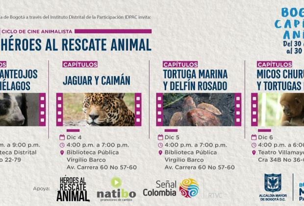 Asista gratis al ciclo de cine animalista “Héroes al Rescate”, para concientizar sobre el respeto hacia la fauna