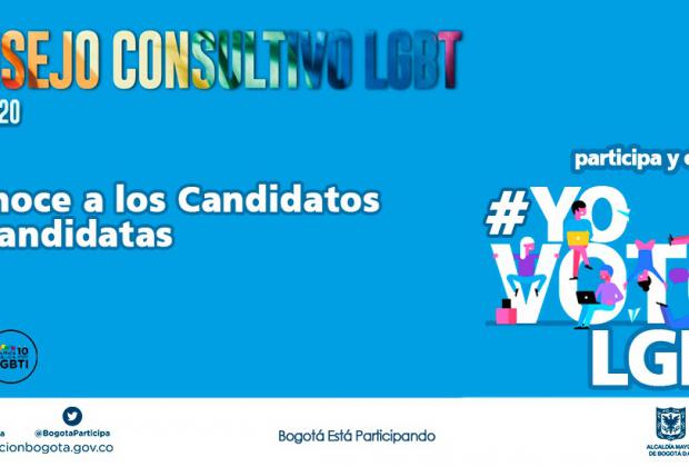 Boletín informativo #YoVotoLGBT