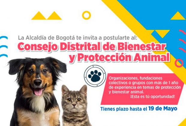 Participe en la convocatoria al proceso de elección del 'Consejo Distrital de Bienestar Protección Animal'